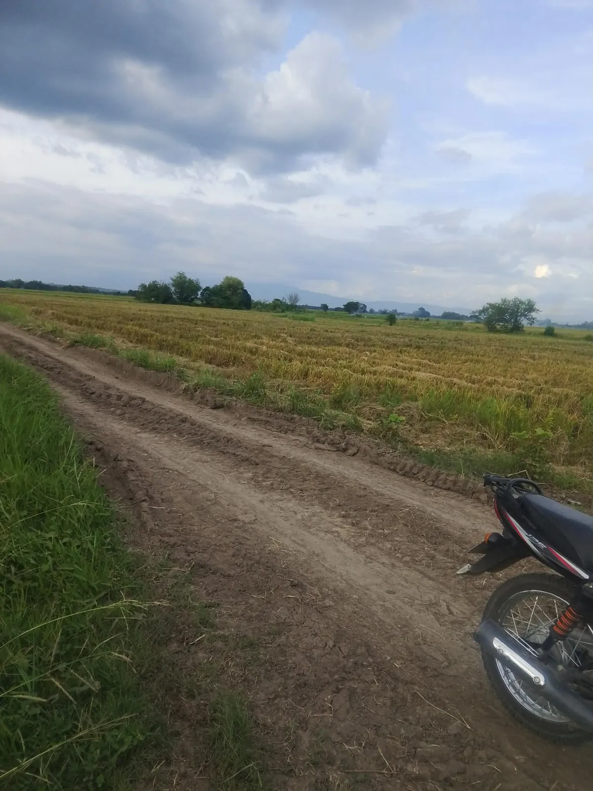 7.4620 Hectares Prime Agricultural Land For Sale