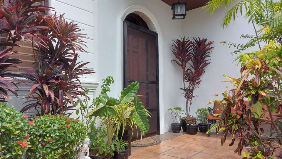 Gallery photo 2