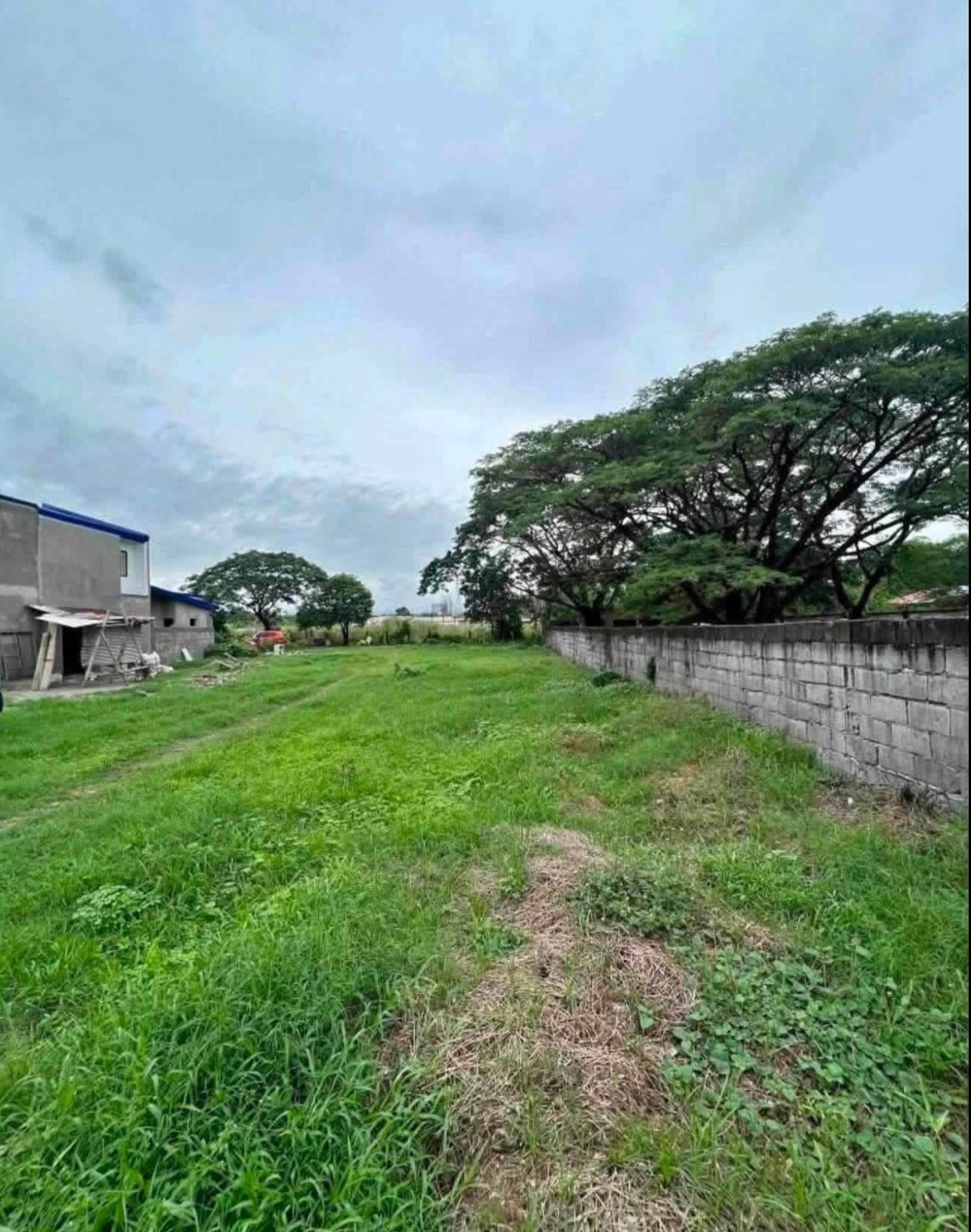 1000 Sqm Lot For Sale In Pulung Maragul, Angeles City